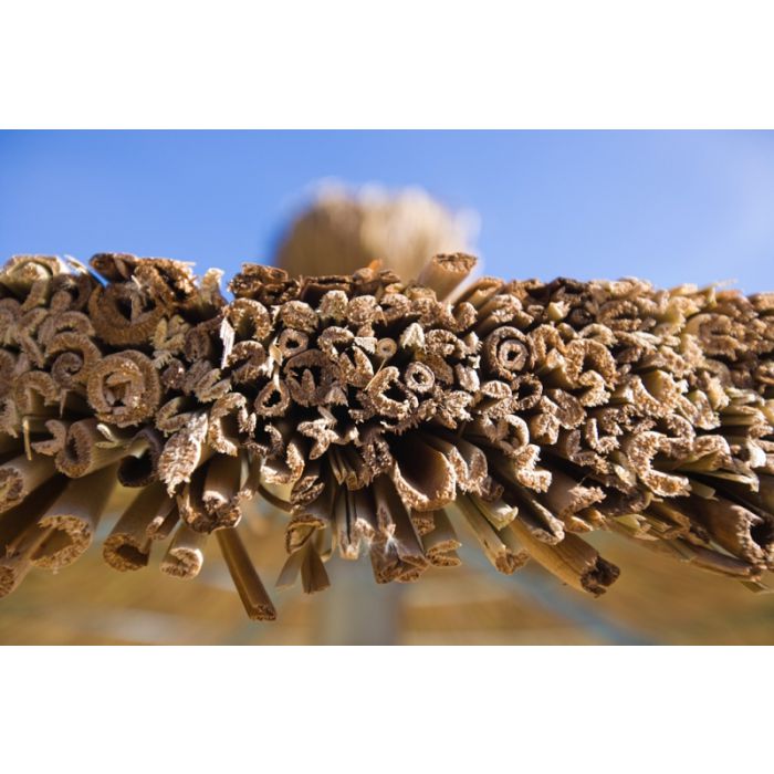 Strohschirm Karibik II – 350 cm Durchmesser  ohne Pfosten