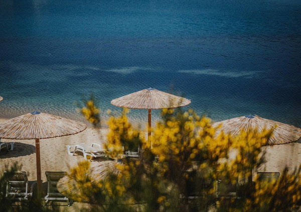 strohschirm im beachclub mit urlaubsfeeling und schatten